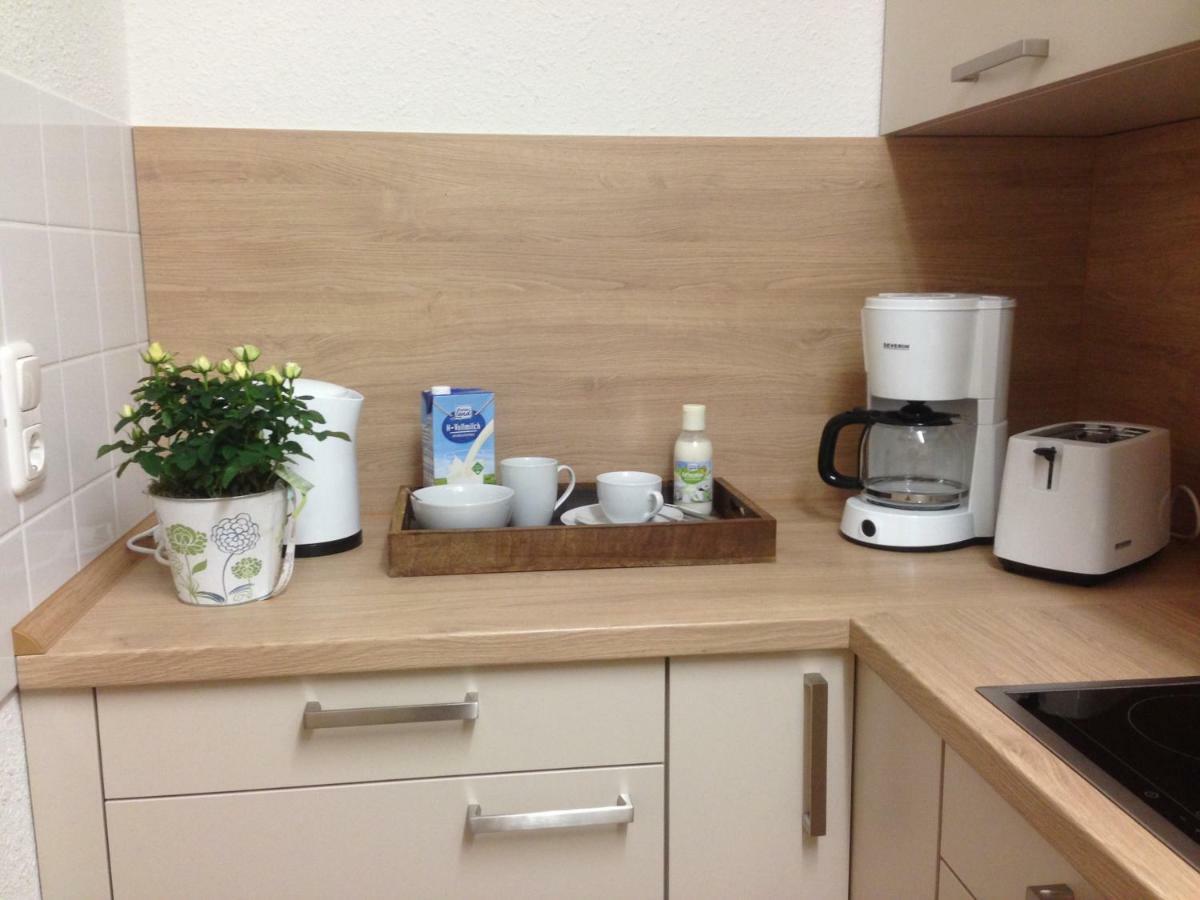 Ferienwohnung Ortrand - Pension Exteriér fotografie