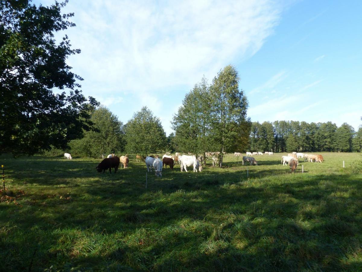 Ferienwohnung Ortrand - Pension Exteriér fotografie